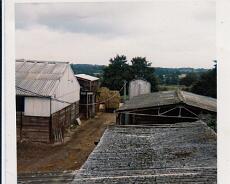 Highfield Farm 2 c.1970 The herd of Ayrshire Cattle that Charlie Bull had at Highfield Farm in the early 1970s